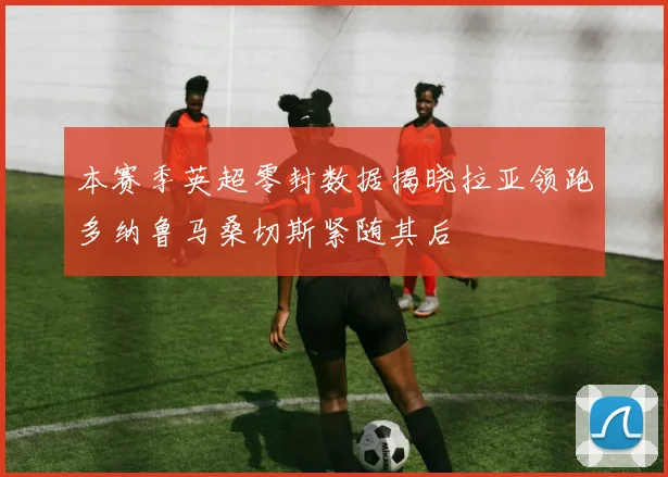 本赛季英超零封数据揭晓拉亚领跑多纳鲁马桑切斯紧随其后