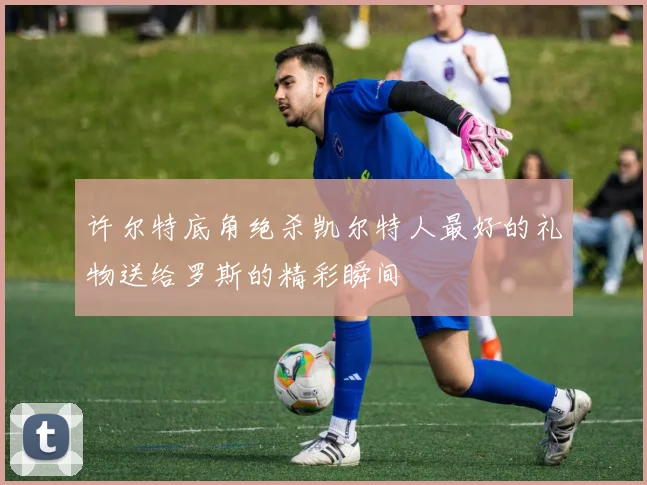 许尔特底角绝杀凯尔特人最好的礼物送给罗斯的精彩瞬间